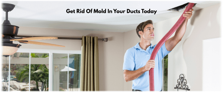 Air Duct Mold Removal in Atlanta