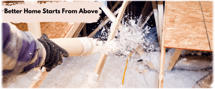 Attic Cleaning Atlanta