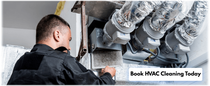 HVAC Mold Removal Atlanta